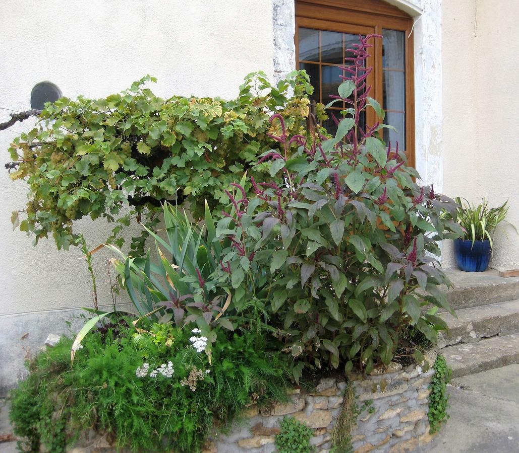 Chambre D'Hotes Oiron, Deux Sevres - Not Near Taize, Burgundy Bed & Breakfast Exterior foto